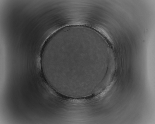 X0000091900781200709261657