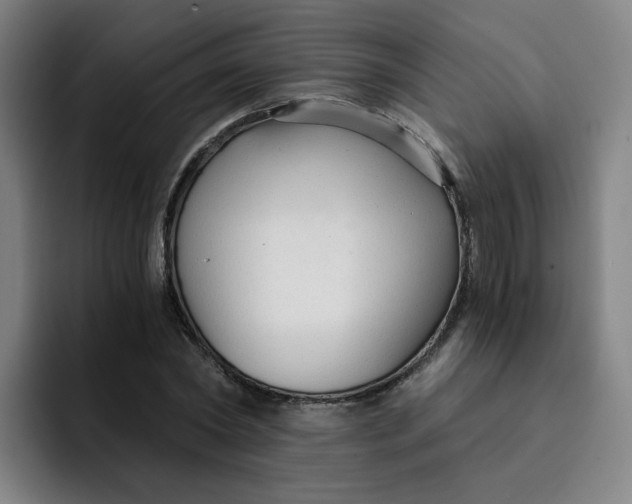 X0000091900782200709261657