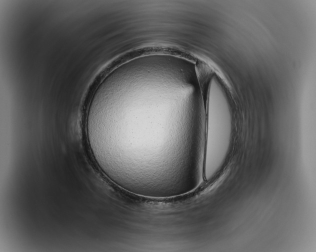 X0000091900783200709261657