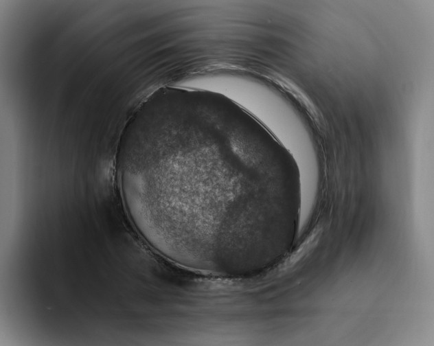 X0000091900785200709261657