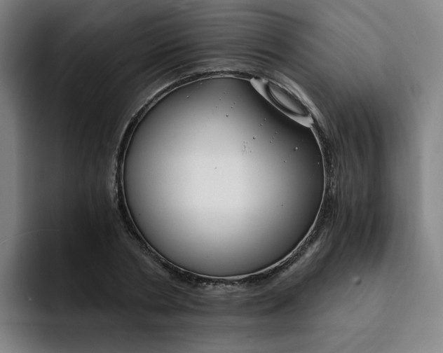 X0000091900786200709261657