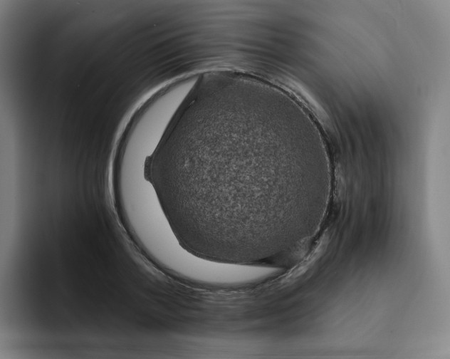 X0000091900788200709261657