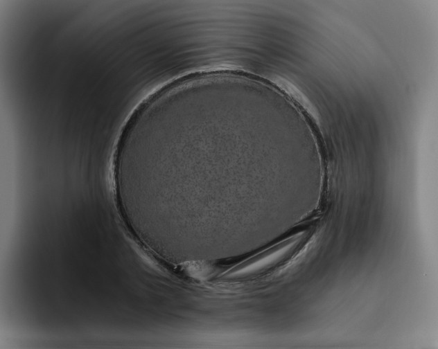 X0000091900789200709261657