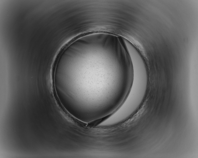 X0000091900792200709261657