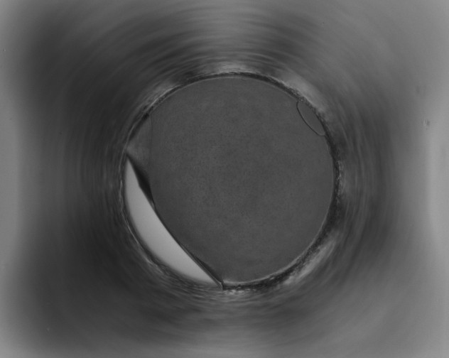 X0000091900793200709261657