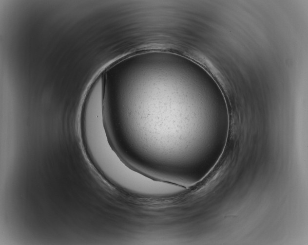 X0000091900795200709261657