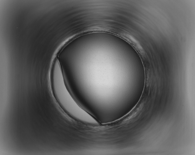 X0000091900796200709261657