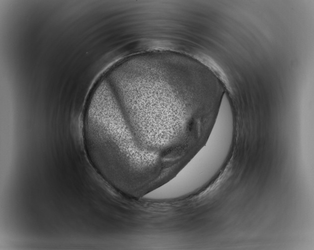 X0000091900798200709261657