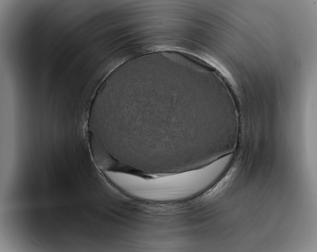 X0000091900801200709261657