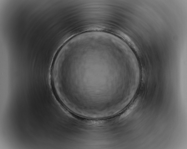 X0000091900802200709261657