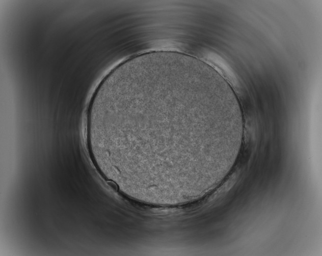 X0000091900804200709261657