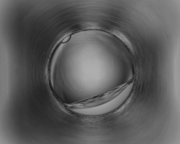 X0000091900806200709261656