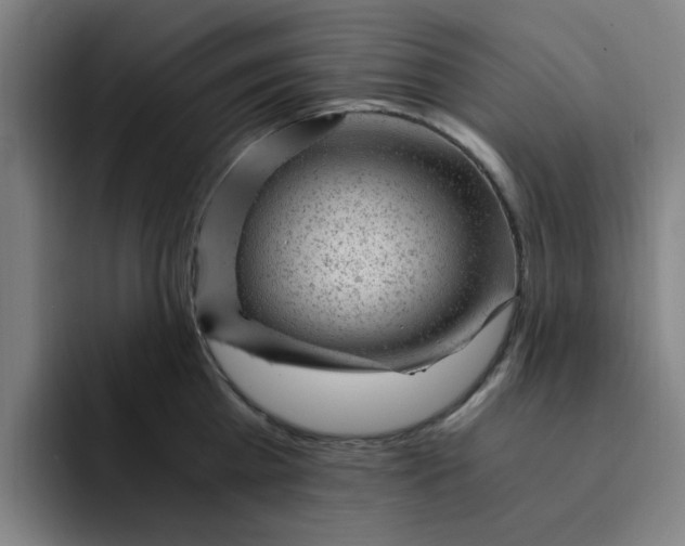 X0000091900809200709261656