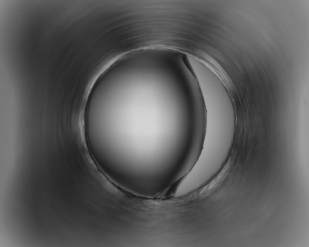 X0000091900812200709261656