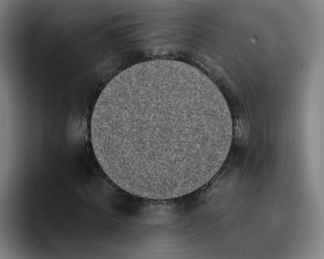 X0000091900820200709261656