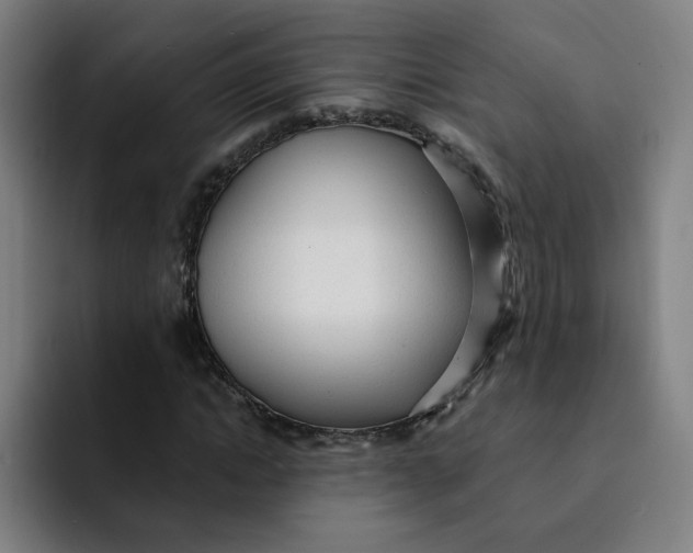 X0000091900822200709261656