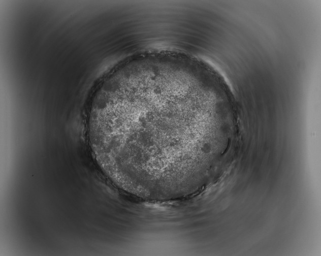 X0000091900823200709261656