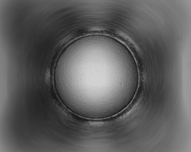 X0000091900825200709261656