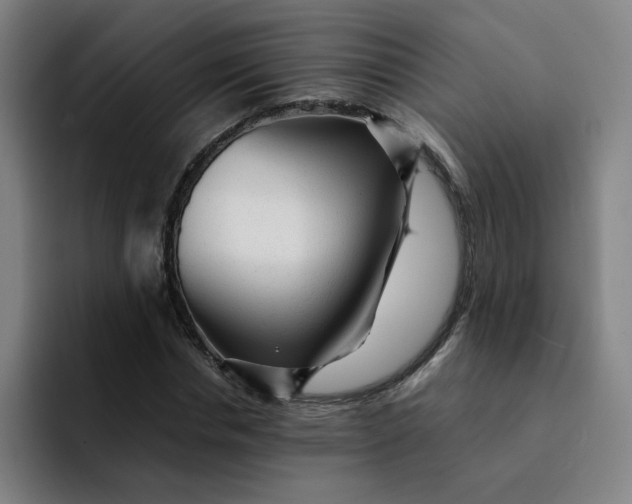 X0000091900826200709261656