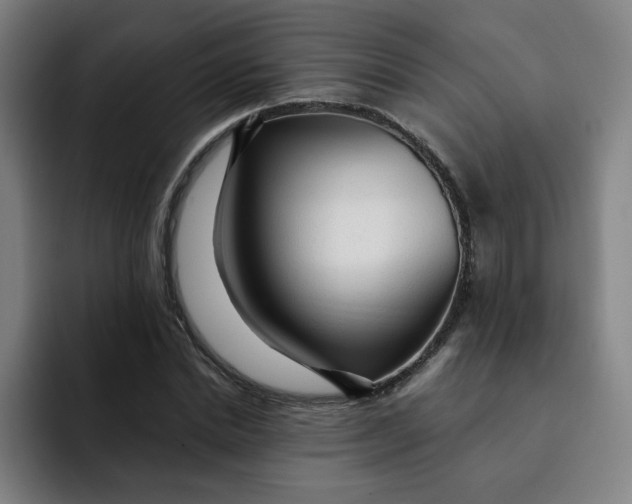 X0000091900830200709261656