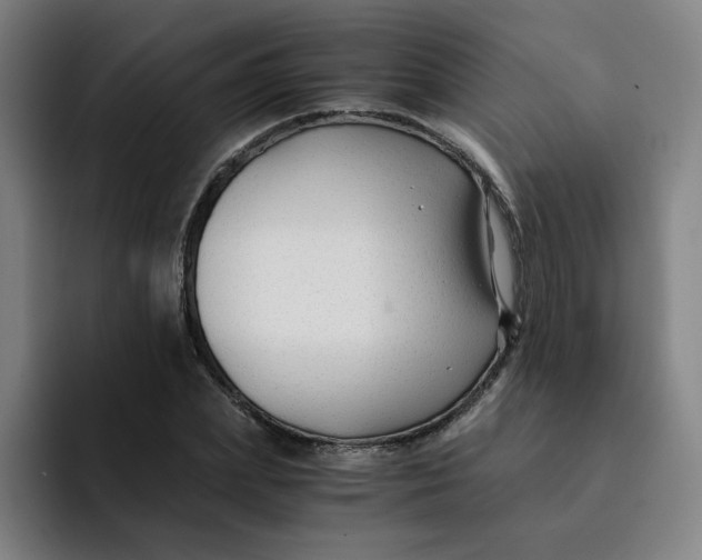 X0000091900831200709261656