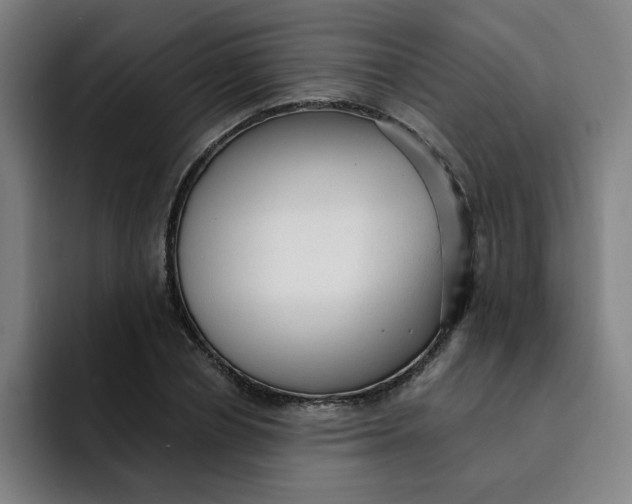 X0000091900834200709261656