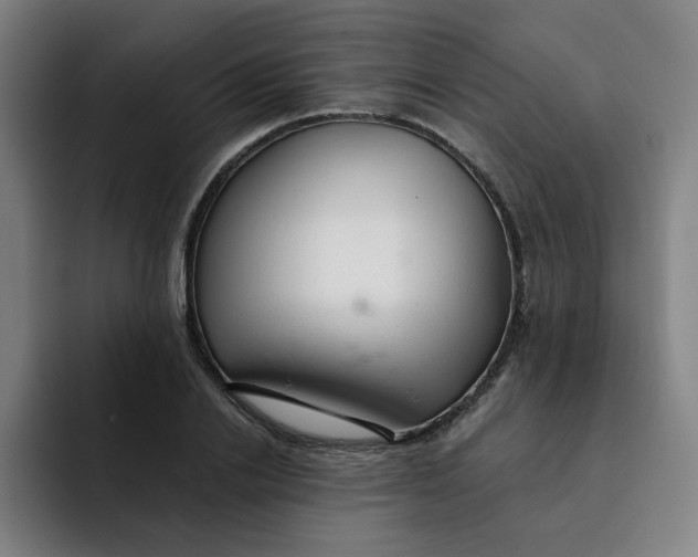 X0000091900838200709261656