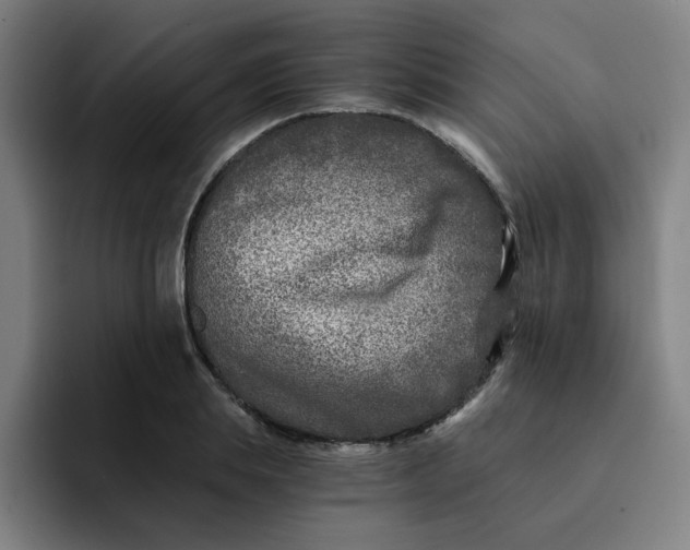 X0000091900839200709261656