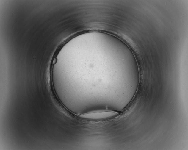 X0000091900840200709261656