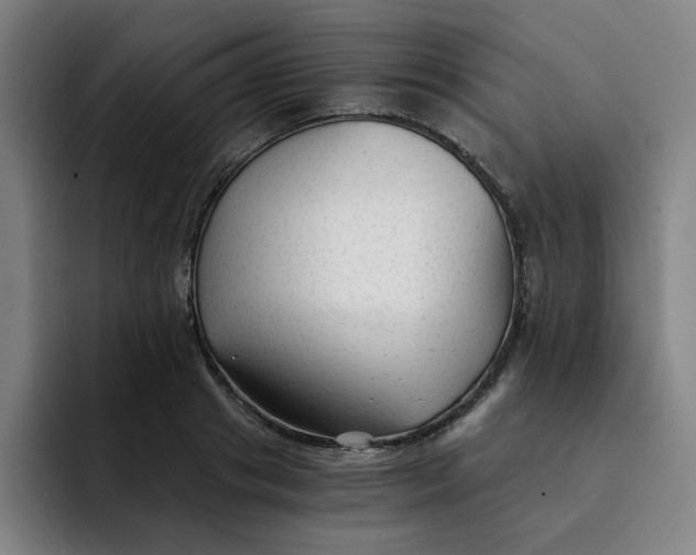 X0000091900841200709261656