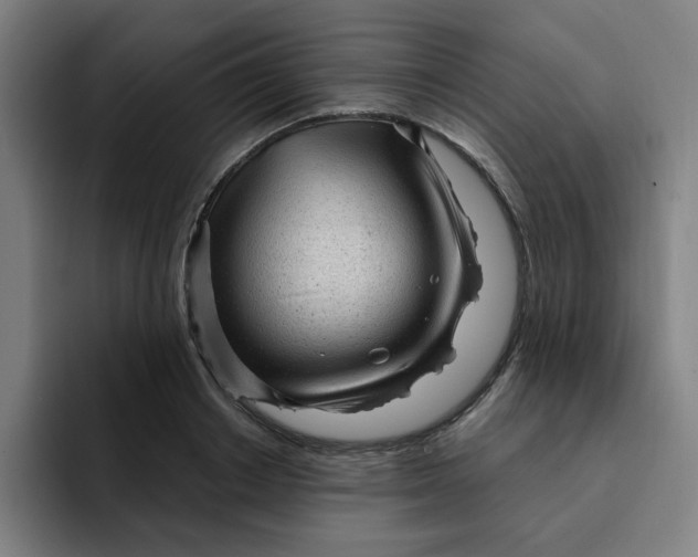 X0000091900842200709261656