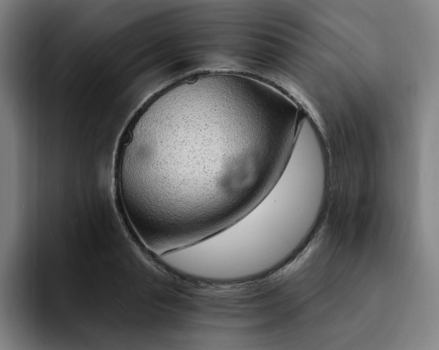 X0000091900845200709261656