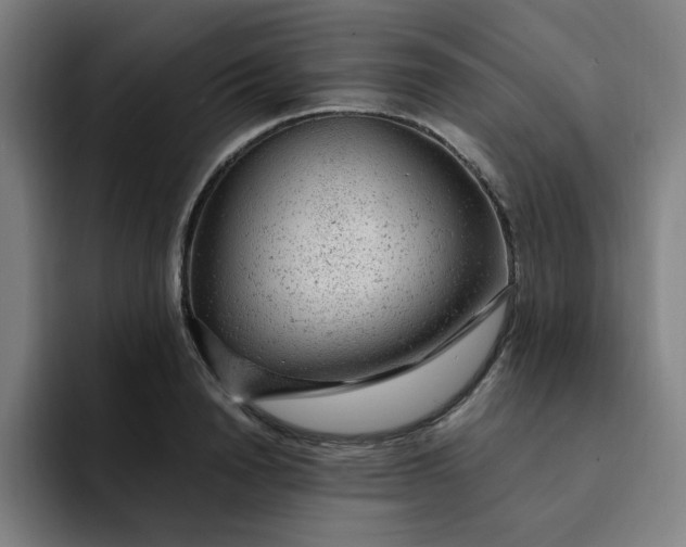 X0000091900846200709261656