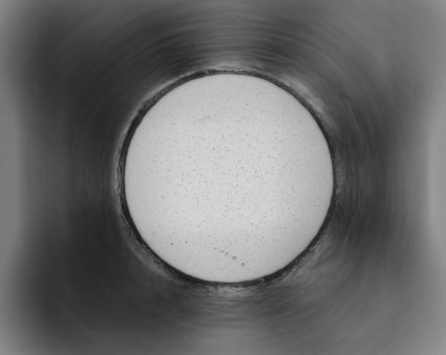 X0000091900848200709261656