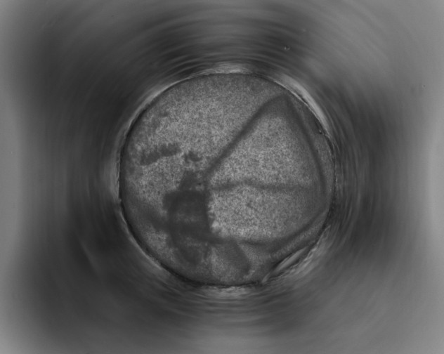 X0000091900851200709261656