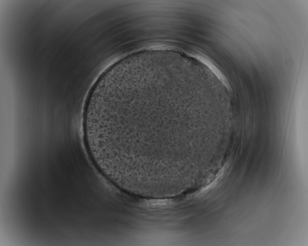 X0000091900853200709261656