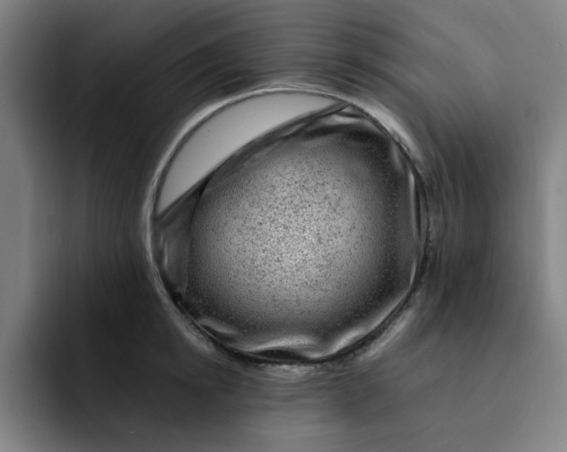 X0000091900854200709261656