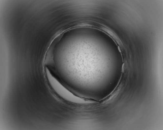 X0000091900858200709261656