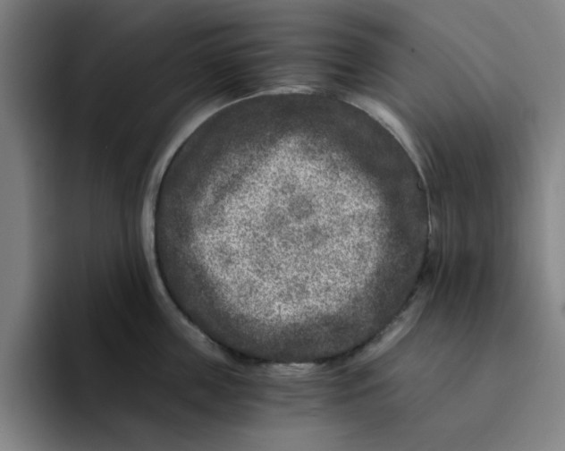 X0000091900859200709261656