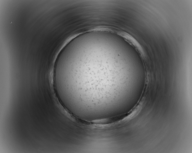 X0000091900860200709261656