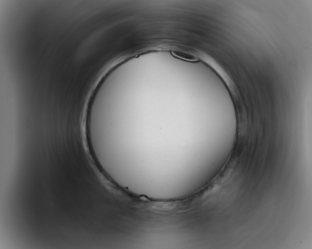 X0000091900861200709261656