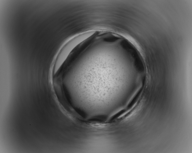 X0000091900862200709261656