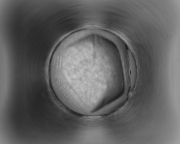 X0000091900864200709261656