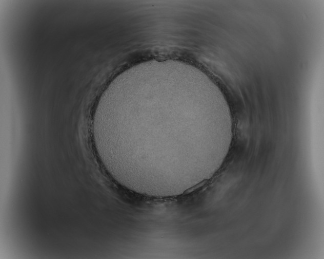 X0000091900865200709261656