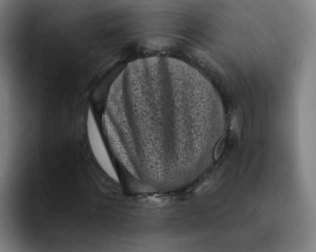 X0000091900868200709261656