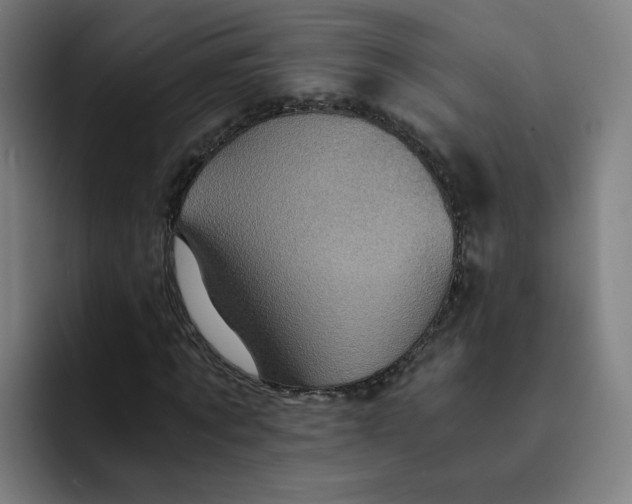 X0000091900869200709261656