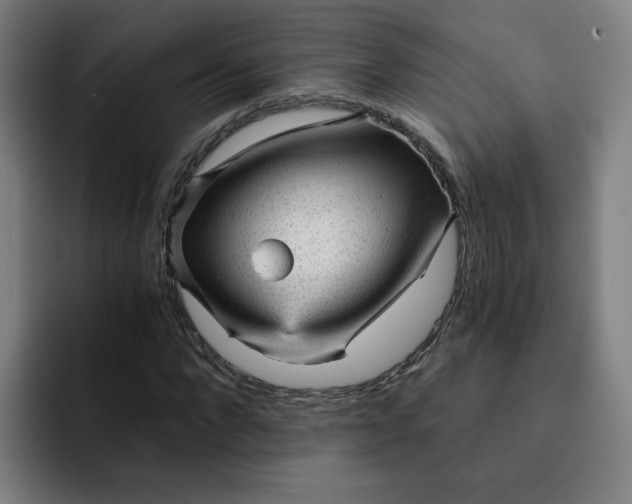 X0000091900872200709261656