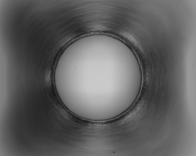 X0000091900873200709261656