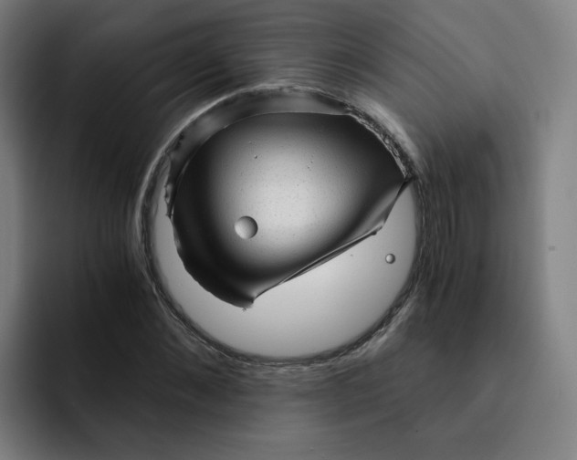 X0000091900876200709261656