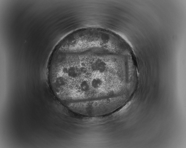 X0000091900879200709261656